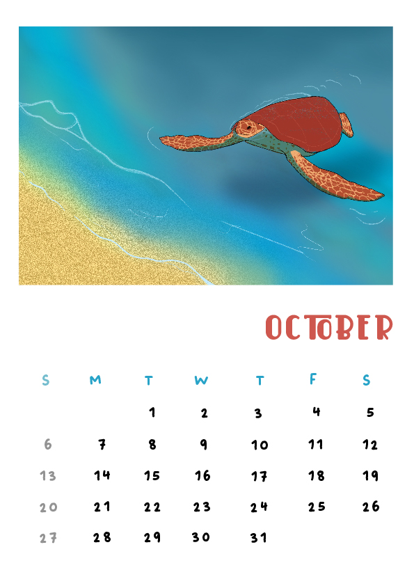 October: The Red Turtle